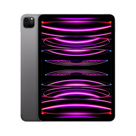 Apple iPad Pro 11 M2 (2022) 128GB Cellular Space Gray Sehr Gut
