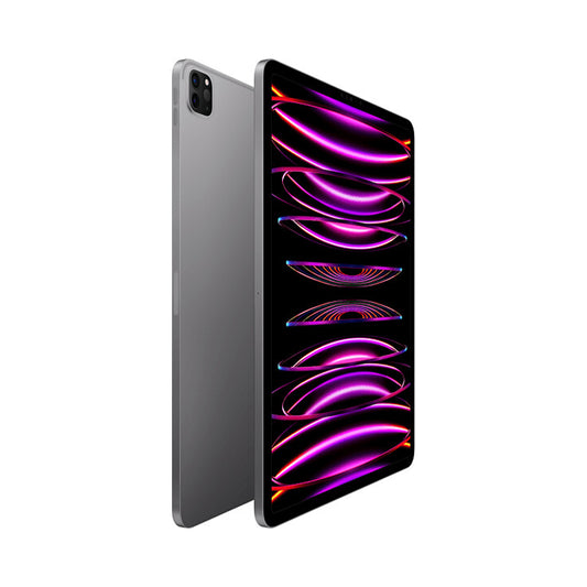 Apple iPad Pro 12.9 Wi-Fi 128GB 2022 6. Gen Space Grau Neuwertig